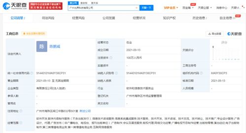 数字内容制作服务 在信息时代打造引人入胜的视觉叙事